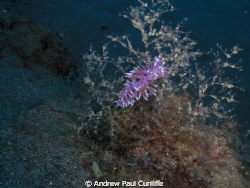 Lanzarote has great waters for taking pictures of this yo... by Andrew Paul Cunliffe 